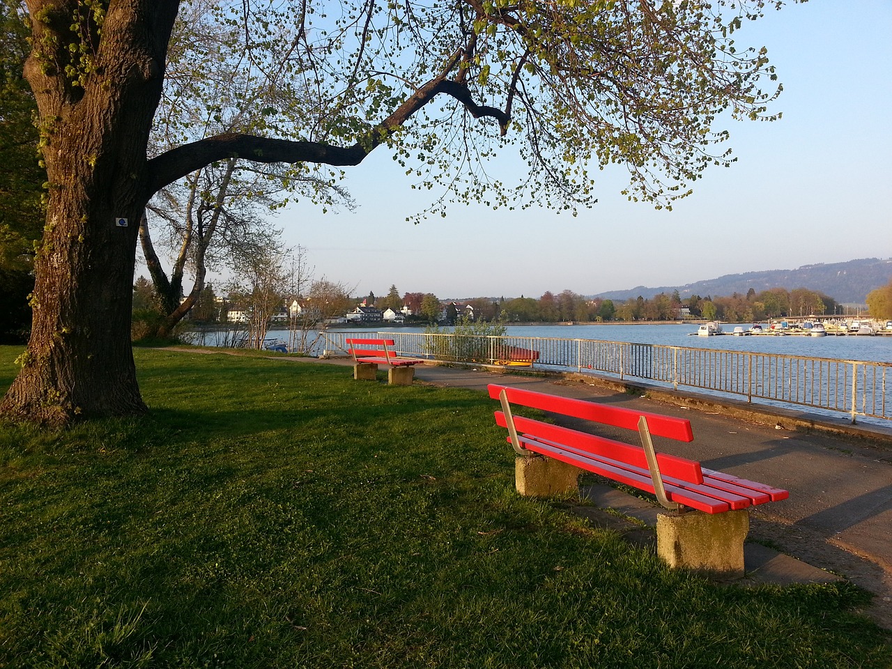 赢得了赛季 赢得了赛季