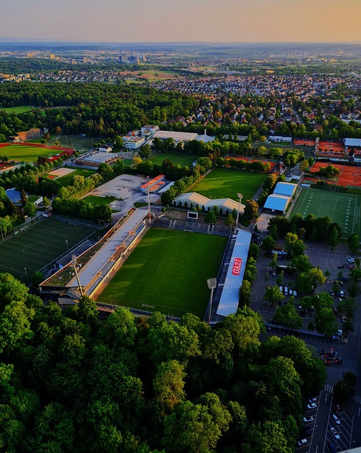 如何在不失 如何在不失